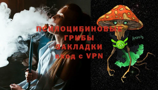 спиды Алексеевка