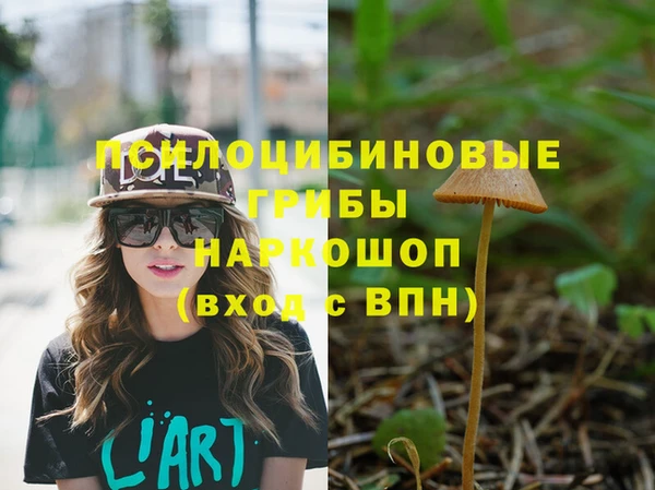 Альфа ПВП Алексин