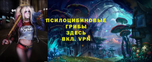 спиды Алексеевка