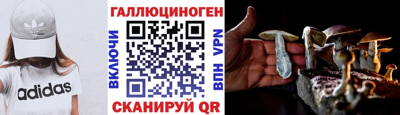 Псилоцибиновые грибы мицелий  Нижнеудинск 