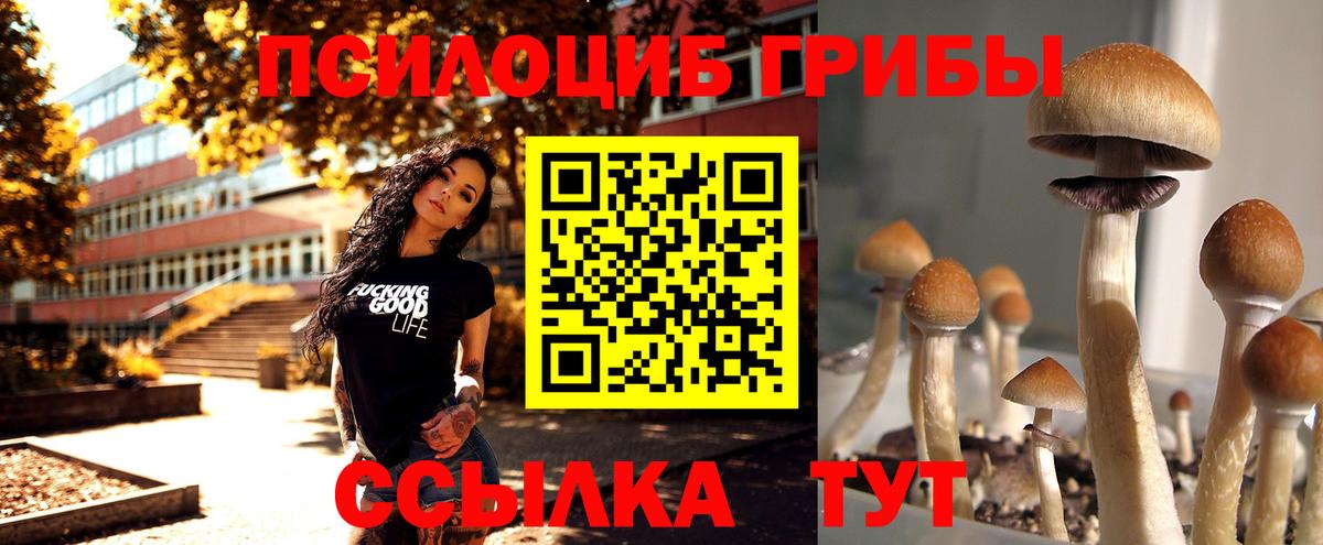 Псилоцибиновые грибы Psilocybine cubensis  Вход с VPN  Нижнеудинск 